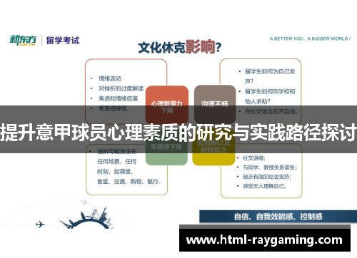 提升意甲球员心理素质的研究与实践路径探讨