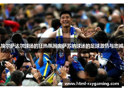埃尔萨达尔球场的狂热氛围奥萨苏纳球迷的足球激情与忠诚