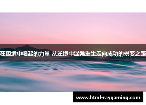 在困境中崛起的力量 从逆境中涅槃重生走向成功的蜕变之路